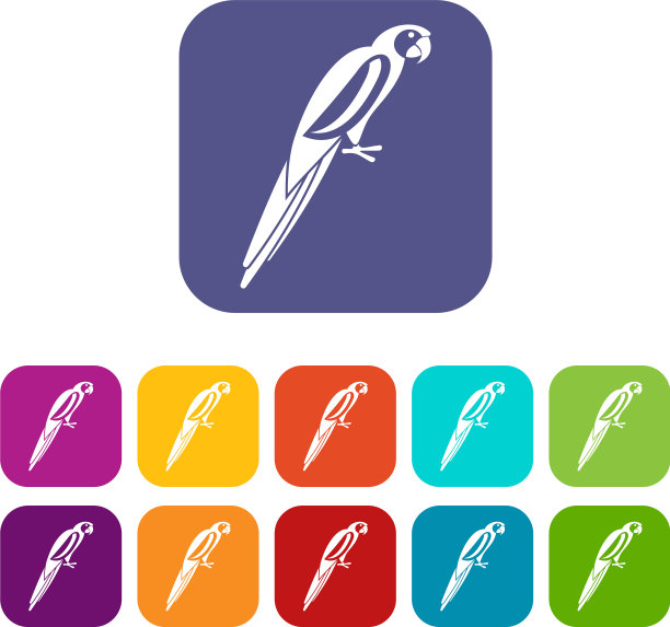 鹦鹉图标设置图片下载