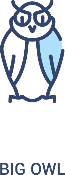 大猫头鹰概念2彩色图标简单的线条图片下载