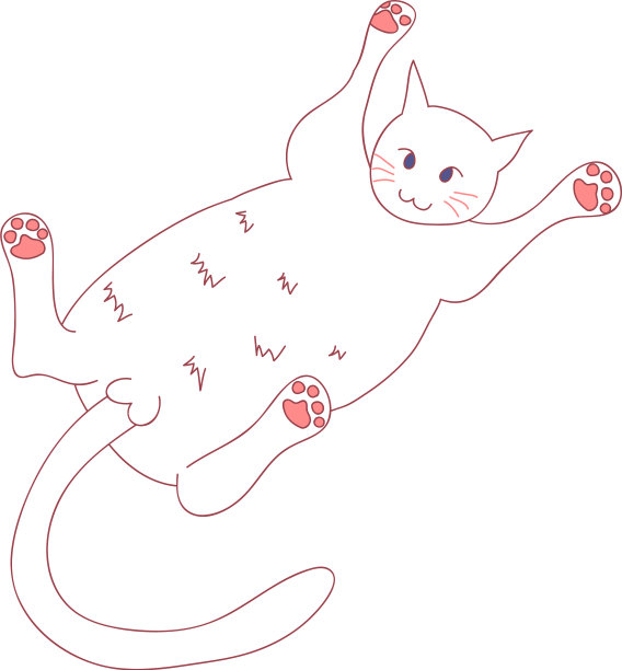 白色可爱的小猫躺在背上图片下载