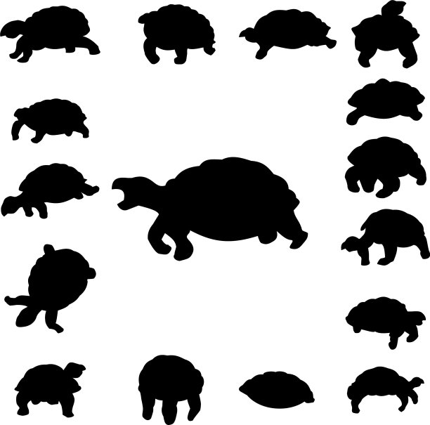 集龟轮廓图片下载