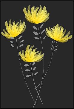 黄色的花图片下载