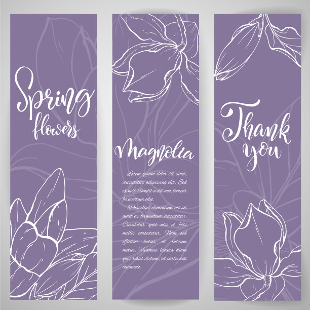 速写木兰花线形开花图片下载