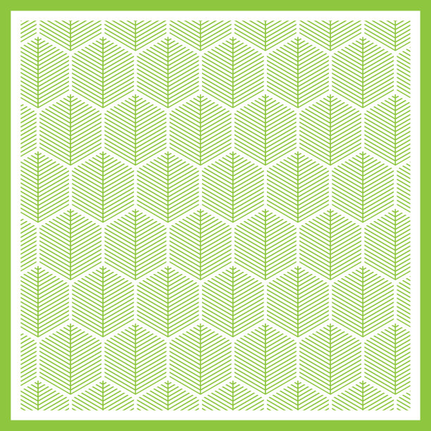 白色背景上的抽象绿线图片下载