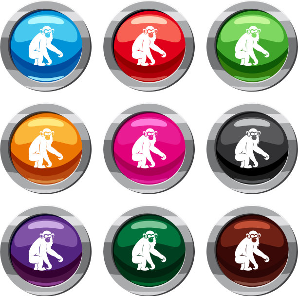 猕猴集9集图片下载