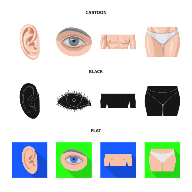 人体及人体部分图标的设计图片下载