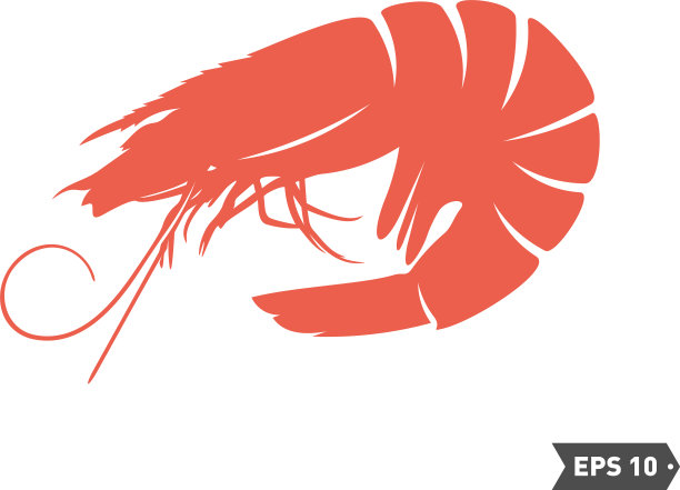 虾标志设计孤立虾上白色图片下载