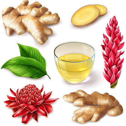 逼真的姜根辣集图片下载