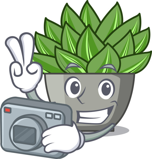 摄影师卡通仙人掌植物图片下载