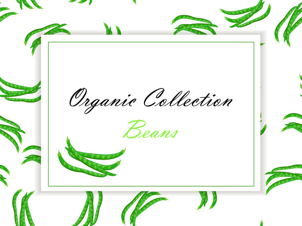 高质量的豆类标签图片下载