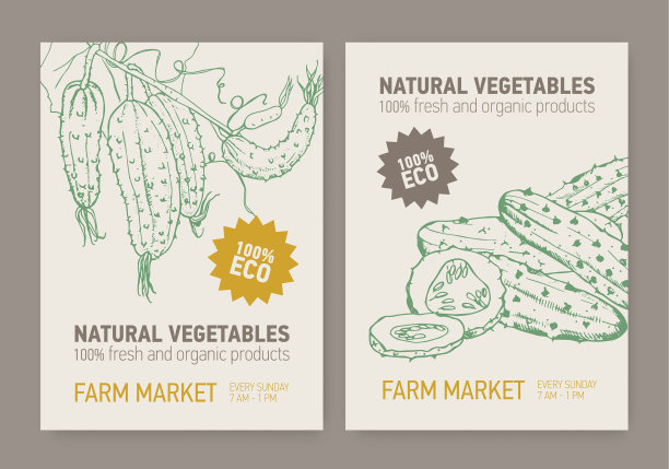 一套带有黄瓜的传单或海报模板图片下载