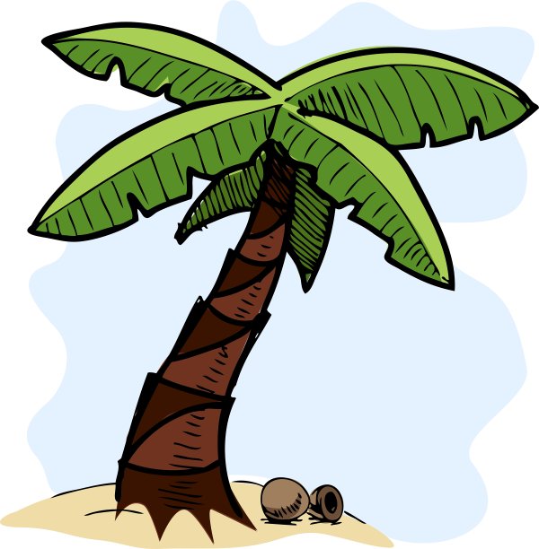 热带棕榈树色彩斑斓的素描图片下载