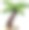 热带棕榈树色彩斑斓的素描图片下载