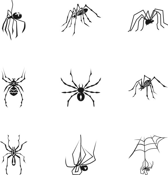 蜘蛛虫图标设置简单的风格图片下载