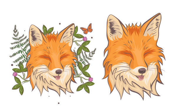 头上有一只狐狸围着三叶草和蕨类植物图片下载