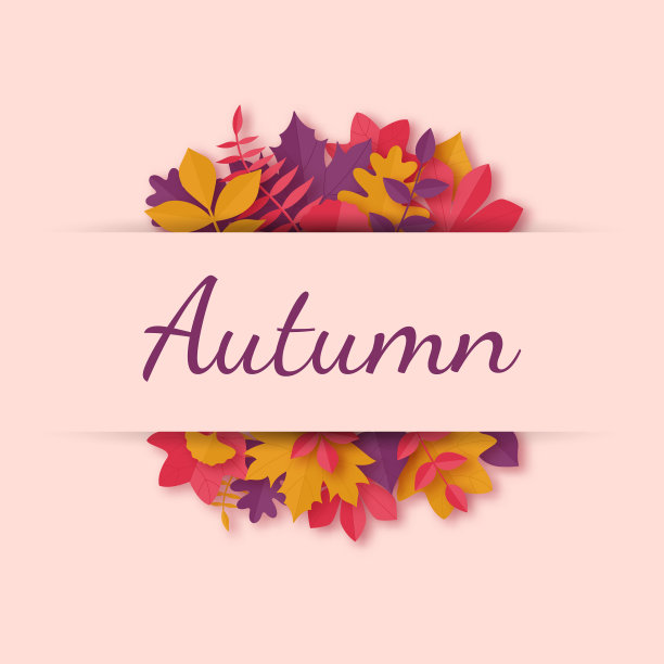 贺卡与秋天的树叶在纸艺术图片下载