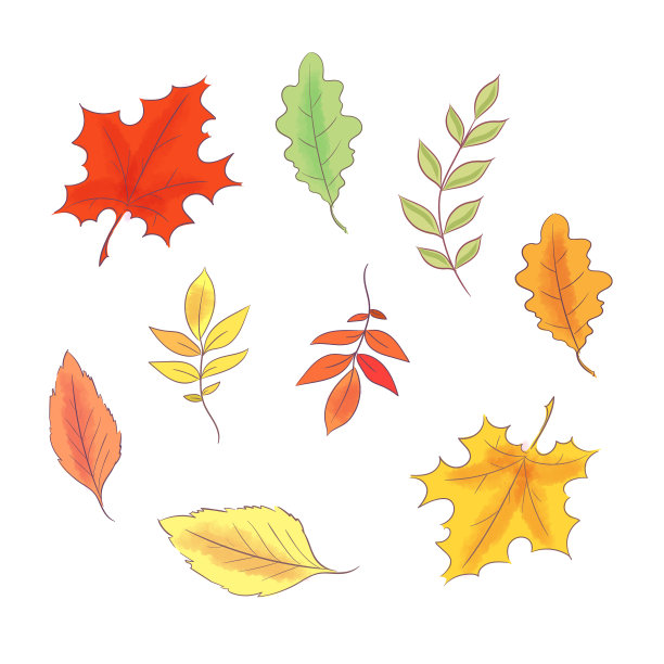 集风格手绘秋天和树叶图片下载