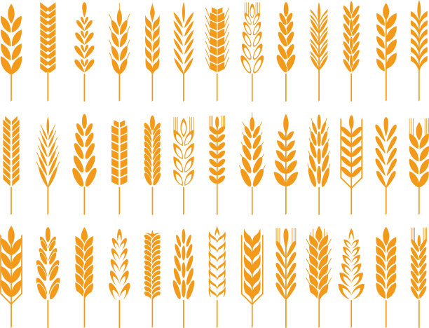 小麦谷物图标小麦面包标志农业谷物图片下载