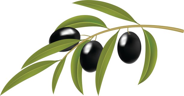 橄榄枝图片下载
