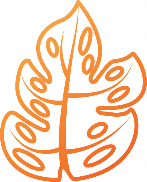 热带棕榈叶，天然植物图片下载