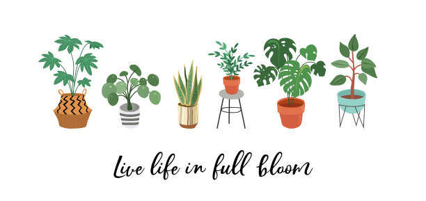 都市丛林时尚家居装饰与植物图片下载