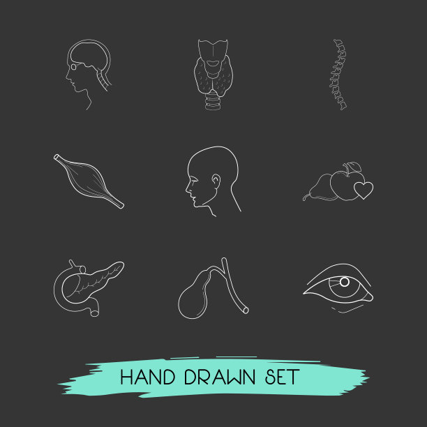 一套具有健康线条风格的器官图标图片下载