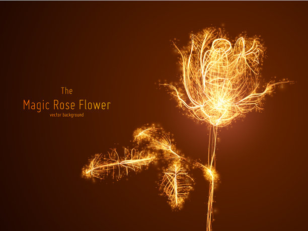 发光的玫瑰花图片下载