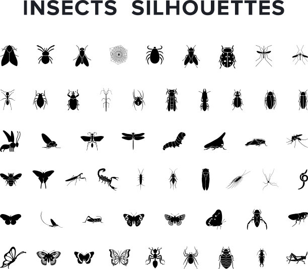 Set of insect silouettes孤立在白色上图片下载