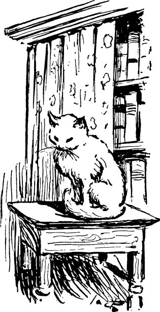 一只猫坐在书架旁边的茶几上图片下载