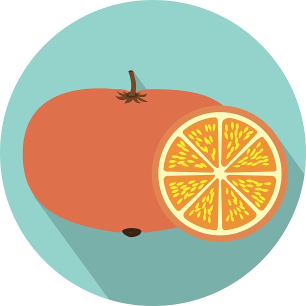 五颜六色的圆形水果和橘子图片下载