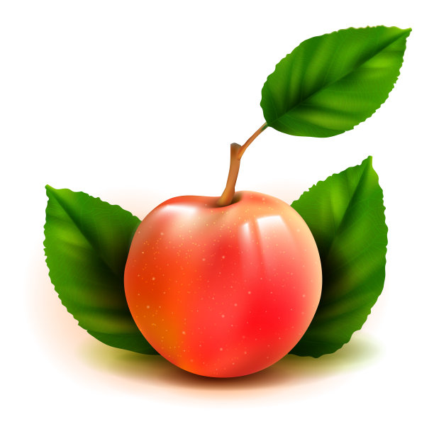 照片逼真的桃子3d水果与树叶图片下载