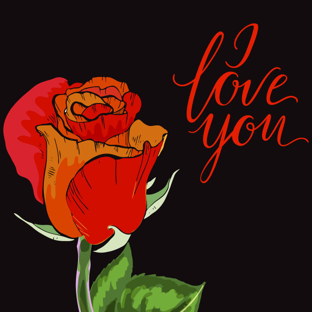 特写红色和橙色的玫瑰花蕾上的黑色图片下载