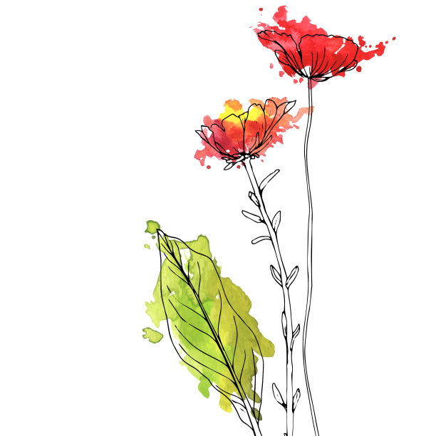 画香草和花图片下载