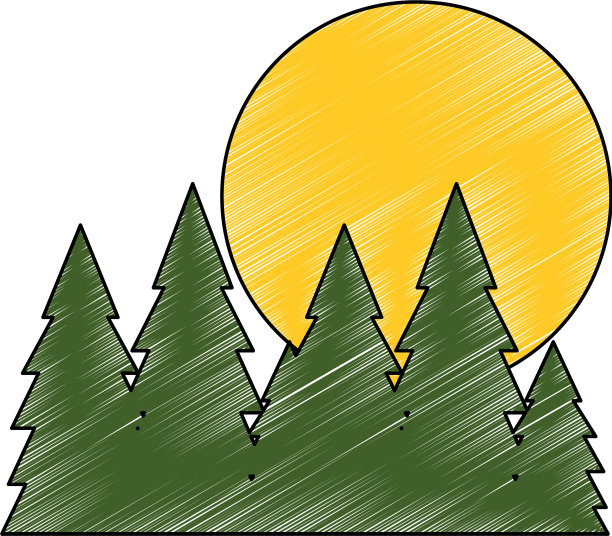 树松树孤立图片下载