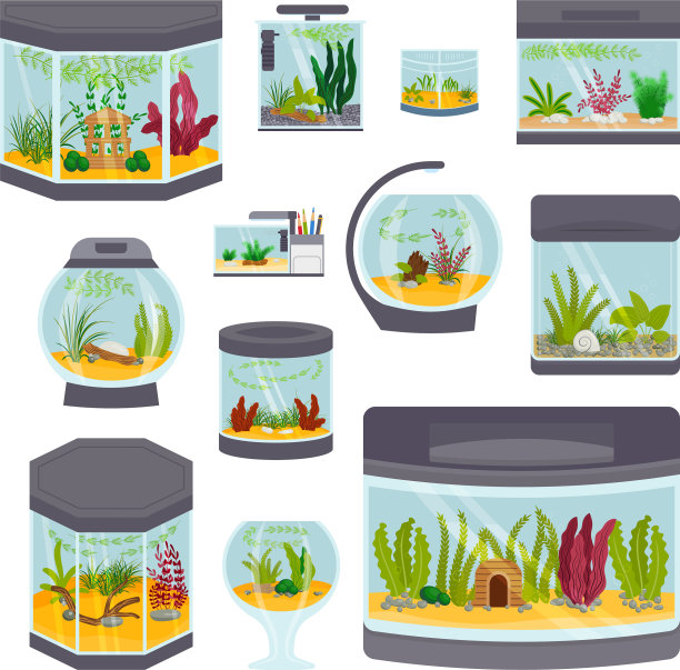 透明的鱼缸内部图片下载