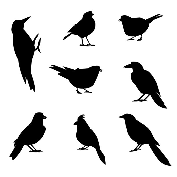 一组冬季鸟类的剪影图片下载
