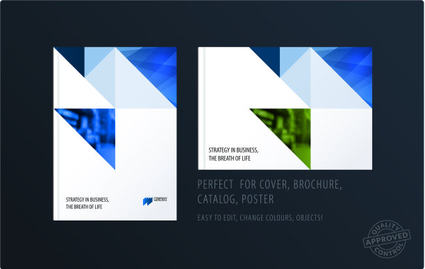 宣传册设计三角形模板色彩鲜艳图片下载