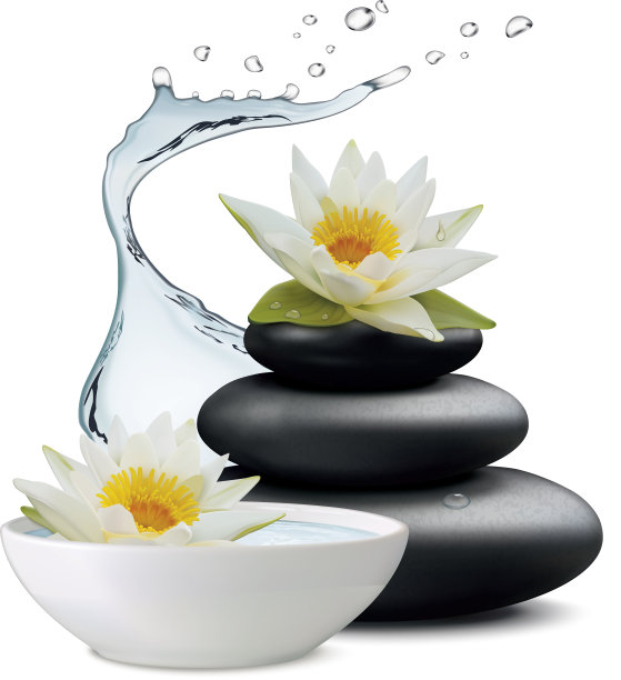 睡莲花和禅石碗配水图片下载