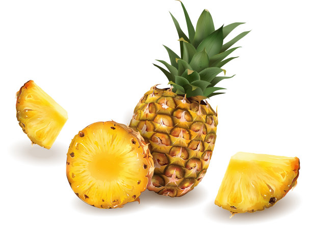 白色背景上的菠萝图片下载