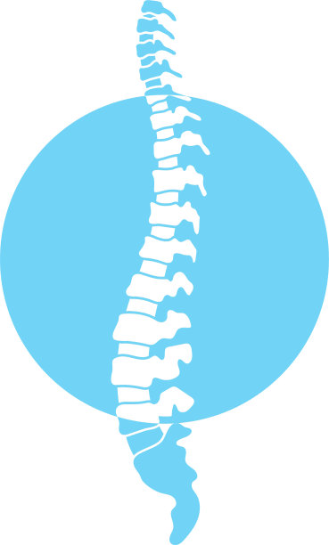 人类的脊椎图片下载