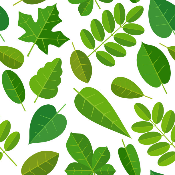 叶面图案无缝，颜色平坦图片下载