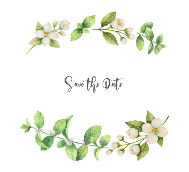 水彩花圈的茉莉花和图片下载