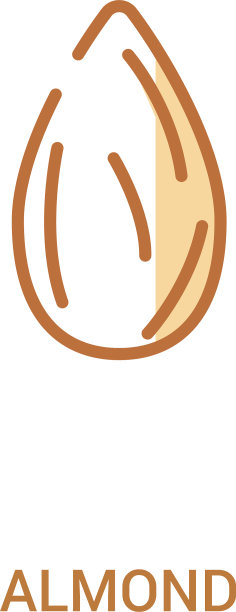 杏仁概念2彩色图标简单的线条元素图片下载