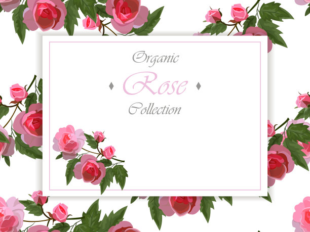 玫瑰和蝴蝶图片下载