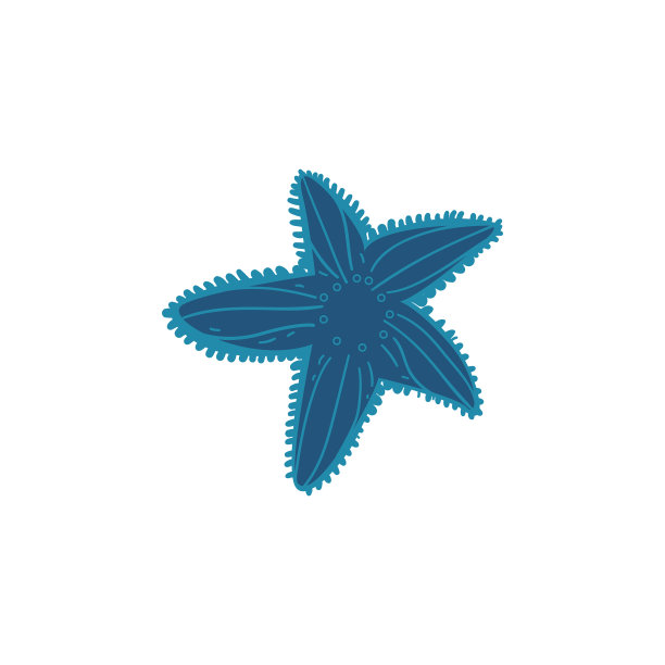 美丽的蓝色海星与装饰隔离图片下载