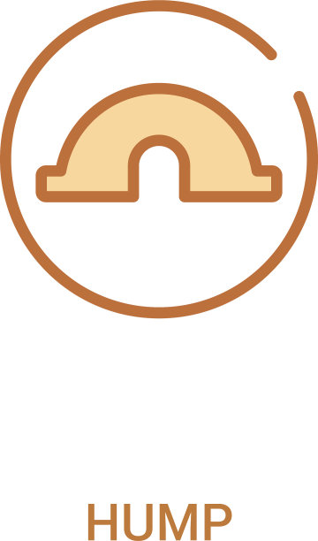 驼峰概念2彩色图标简单线条元素图片下载