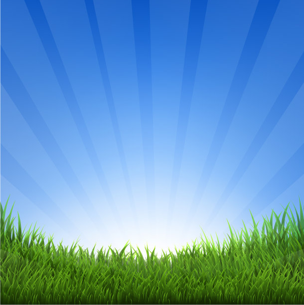 草和天空图片下载