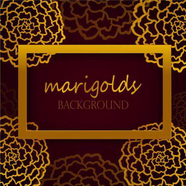 深红底色，金盏花图片下载