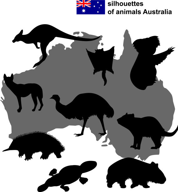 澳大利亚动物的剪影图片下载