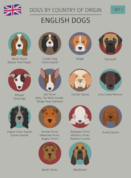 狗的原产国英国狗品种图片下载