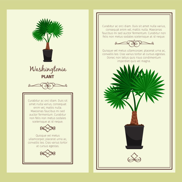 印有华盛顿植物的贺卡图片下载